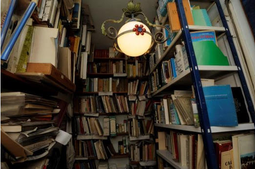Fondo prof. Eugenio Battisti